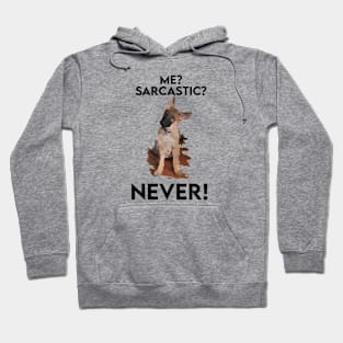 FasBytes Me Sarcasm, Never Dog Hoodie